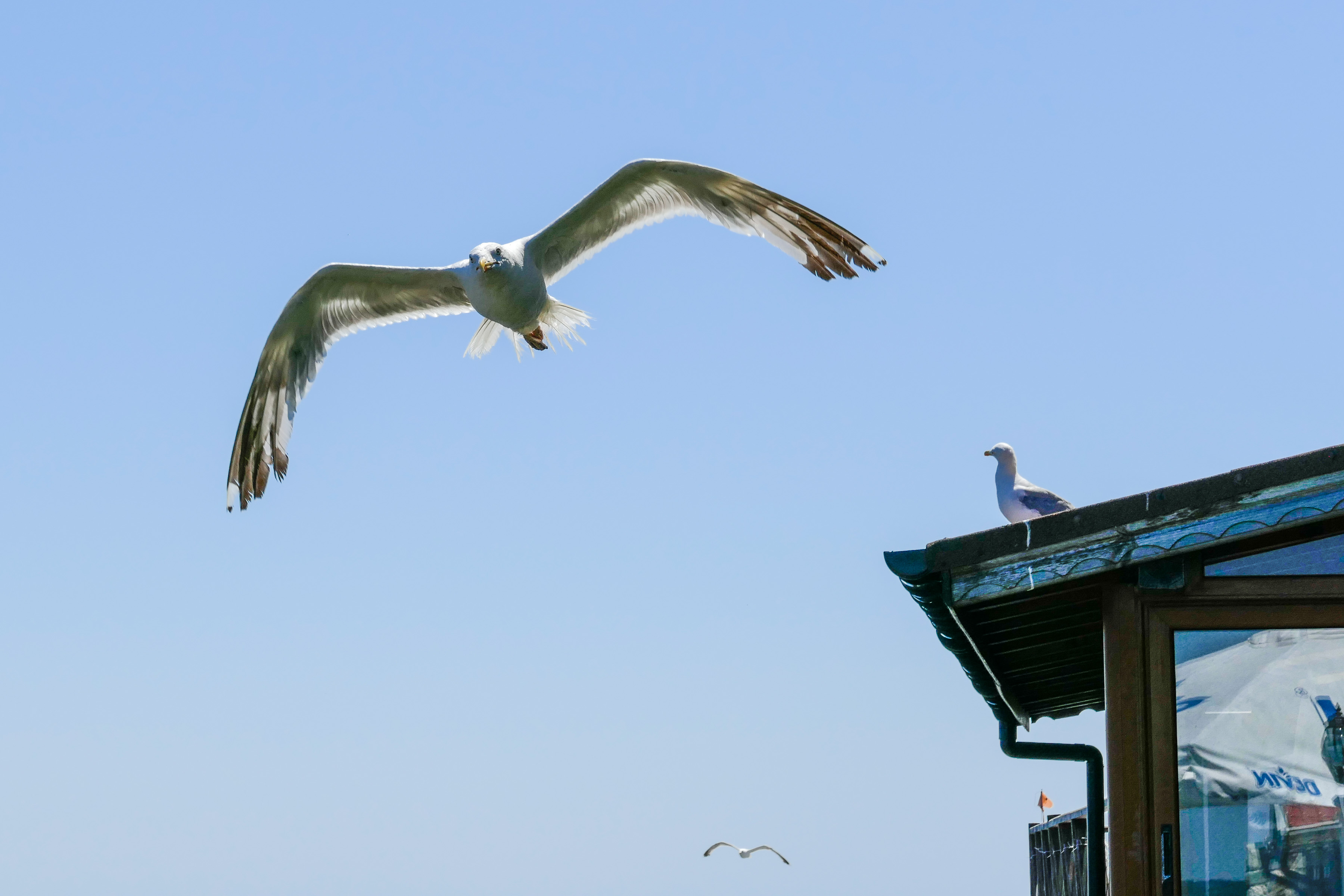 Impressionen in Sozopol
